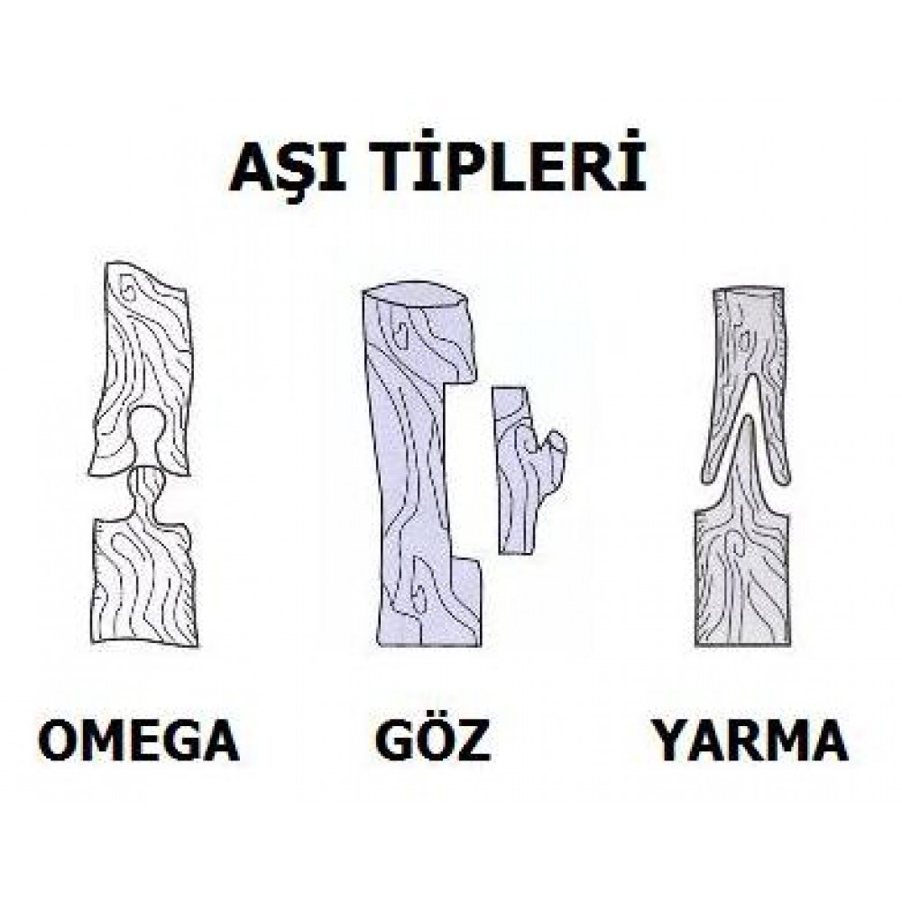 Multi Asi Makasi Turk Mali Asi Makinasi
