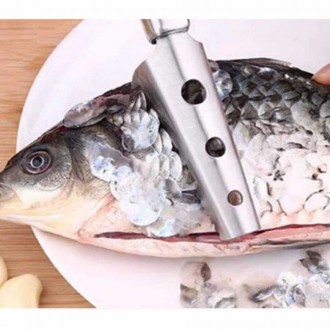 balık pulu temizleme aparatı