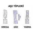 Aşı Tipleri