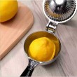 Limon Sıkacağı LS-01