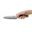 kai-shun-premier-tim-malzer-santoku-sef-bicagi-tdm1727