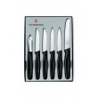 Victorinox 6 Parça Mutfak Bıçakları Seti 5.1113.6