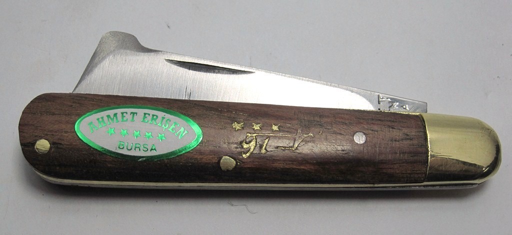 Bursa Asi Cakilari